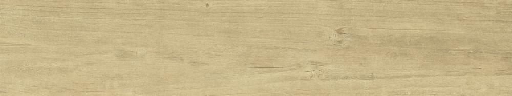 Quercus Naturale