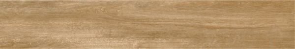 Boreal Olivo