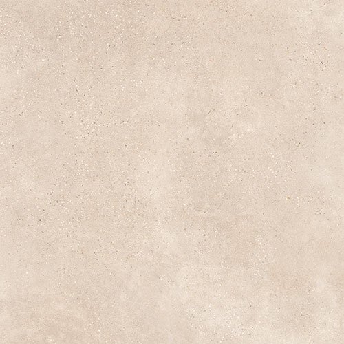 Vida Terra