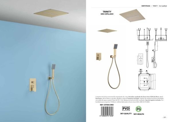 Conjunto de ducha monomando empotrado de 3 vías Trinity Oro Cepillado