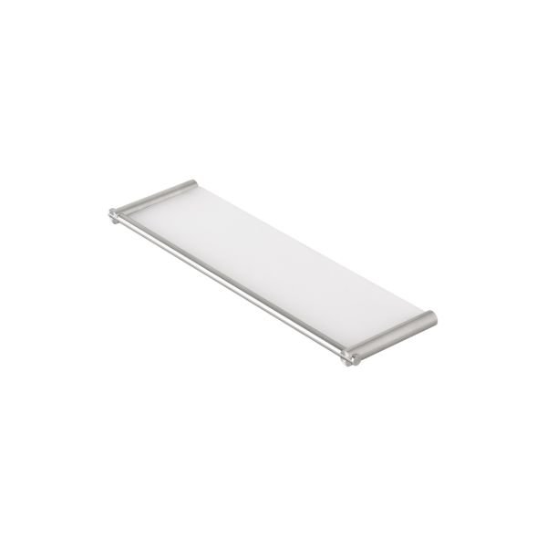 Wall mounted bathtub/shower soap holder