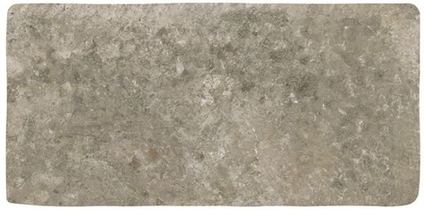 Abbey Stone M Cluny
